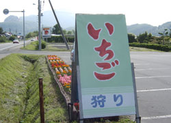 2006050625itigogari.jpg